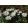 Anemone blanda White Splendour - Csinos szellőrózsa (5/+)