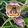 Gladiolus papilio (10/+) - Kardvirág