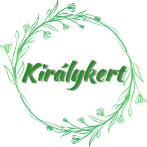 Argyranthemum Pink - Margitvirág