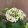 Hydrangea macrophylla Sweet Campino - Kerti hortenzia