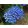Hydrangea macrophylla HOVARIA Hopcorn Blue (p17) - Kerti hortenzia