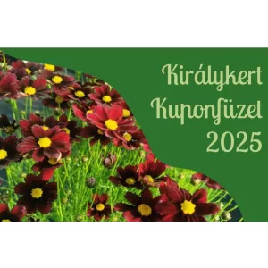 Online Kuponfüzet 2026