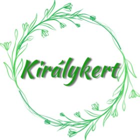 Tisza-parti margitvirág (Leucanthemella)