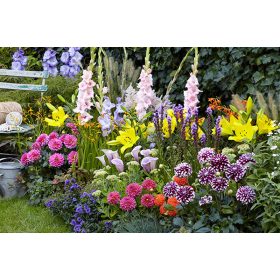Available flower bulbs in spring